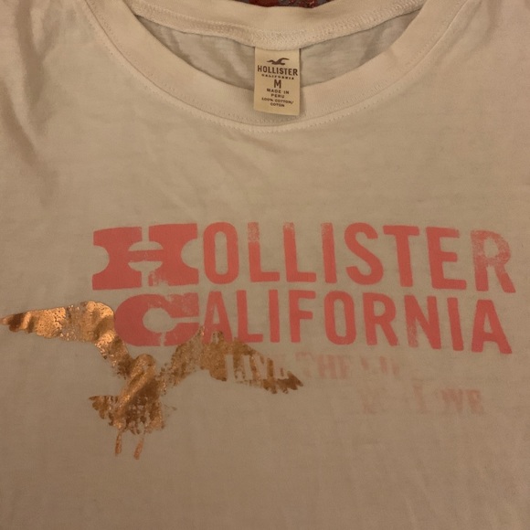 Hollister tee Medium - Picture 2 of 3